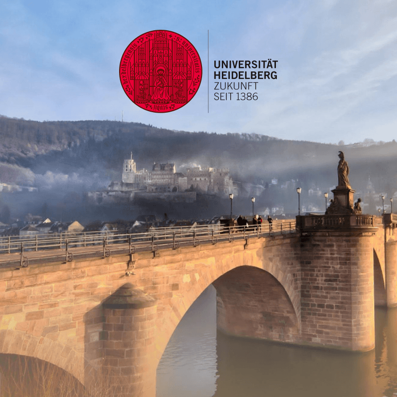 Heidelberg University
