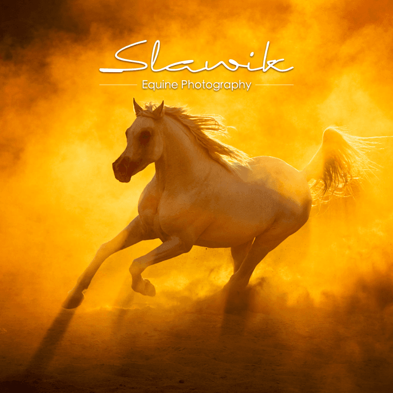 Slawik