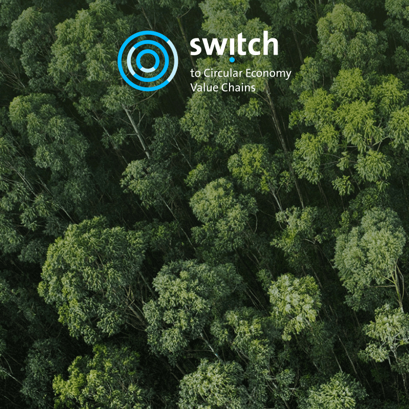 Switch to Circular